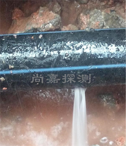 老河口消防管道漏点探测